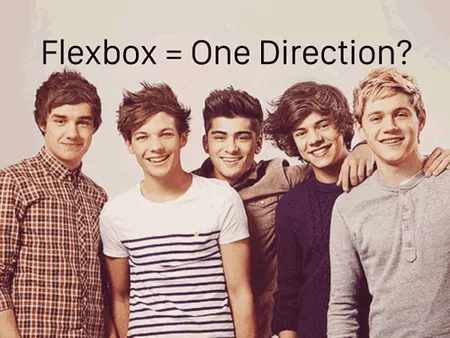 Flexbox = One Direction?